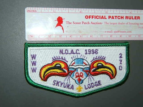 Boy scout 270 - boy,