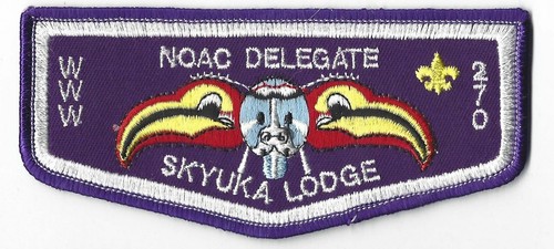 Skyuka lodge 270 noac - noac, delegate